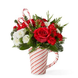 Peppermint Swirl Mug from Victor Mathis Florist in Louisville, KY